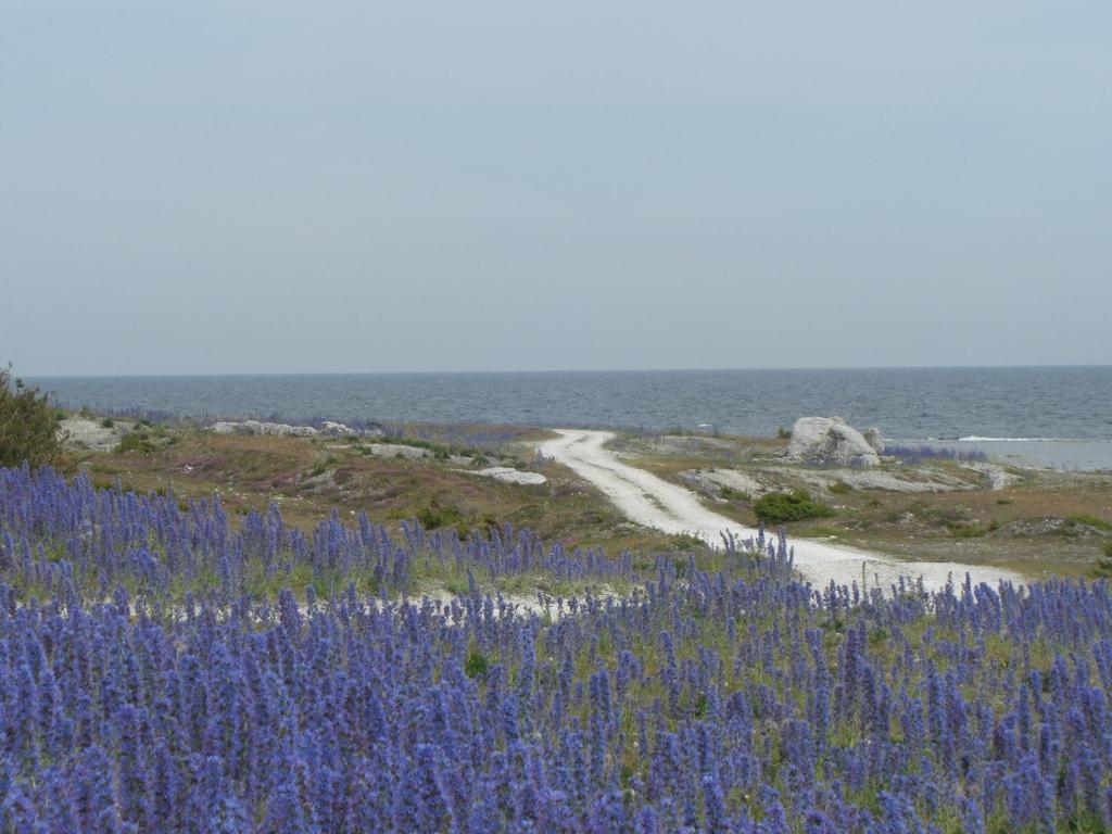 Gothem Logi Pension Buitenkant foto